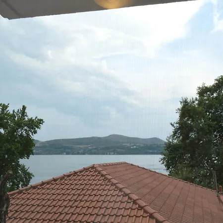 D6 View * Kastoria
